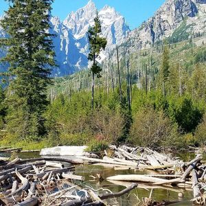 Meet your Posher, R honda